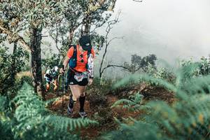 BIB: 
                            <button type="button" onclick="openModal(25338256)" class="btn btn-primary btn-sm float-right btn-popup" data-toggle="modal" data-target=".modal-high-quality">
                        <i class="fas fa-shopping-cart"></i> Add to Cart
                    </button>
                                            <button type="button" onclick="isThisMe(25338256, true)" class="btn btn-success btn-sm float-right btn-popup btn-isme hidden" data-toggle="tooltip" data-placement="bottom" title="นี่คือรูปของคุณใช่ไหม คลิกที่นี่เพื่อเอาเข้าอัลบั้ม">
                        <i class="fas fa-plus"></i> Add to album
                    </button>
                    <button type="button" onclick="isThisMe(25338256, false)" class="btn btn-warning btn-sm float-right btn-popup btn-isnotme hidden">
                        <i class="fas fa-ban"></i> Remove from album
                    </button>