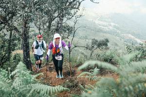 BIB: 
                            <button type="button" onclick="openModal(25339294)" class="btn btn-primary btn-sm float-right btn-popup" data-toggle="modal" data-target=".modal-high-quality">
                        <i class="fas fa-shopping-cart"></i> Add to Cart
                    </button>
                                            <button type="button" onclick="isThisMe(25339294, true)" class="btn btn-success btn-sm float-right btn-popup btn-isme hidden" data-toggle="tooltip" data-placement="bottom" title="นี่คือรูปของคุณใช่ไหม คลิกที่นี่เพื่อเอาเข้าอัลบั้ม">
                        <i class="fas fa-plus"></i> Add to album
                    </button>
                    <button type="button" onclick="isThisMe(25339294, false)" class="btn btn-warning btn-sm float-right btn-popup btn-isnotme hidden">
                        <i class="fas fa-ban"></i> Remove from album
                    </button>