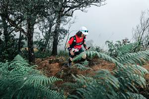 BIB: 
                            <button type="button" onclick="openModal(25330175)" class="btn btn-primary btn-sm float-right btn-popup" data-toggle="modal" data-target=".modal-high-quality">
                        <i class="fas fa-shopping-cart"></i> Add to Cart
                    </button>
                                            <button type="button" onclick="isThisMe(25330175, true)" class="btn btn-success btn-sm float-right btn-popup btn-isme hidden" data-toggle="tooltip" data-placement="bottom" title="นี่คือรูปของคุณใช่ไหม คลิกที่นี่เพื่อเอาเข้าอัลบั้ม">
                        <i class="fas fa-plus"></i> Add to album
                    </button>
                    <button type="button" onclick="isThisMe(25330175, false)" class="btn btn-warning btn-sm float-right btn-popup btn-isnotme hidden">
                        <i class="fas fa-ban"></i> Remove from album
                    </button>