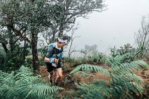 BIB: 
                            <button type="button" onclick="openModal(25329517)" class="btn btn-primary btn-sm float-right btn-popup" data-toggle="modal" data-target=".modal-high-quality">
                        <i class="fas fa-shopping-cart"></i> Add to Cart
                    </button>
                                            <button type="button" onclick="isThisMe(25329517, true)" class="btn btn-success btn-sm float-right btn-popup btn-isme hidden" data-toggle="tooltip" data-placement="bottom" title="นี่คือรูปของคุณใช่ไหม คลิกที่นี่เพื่อเอาเข้าอัลบั้ม">
                        <i class="fas fa-plus"></i> Add to album
                    </button>
                    <button type="button" onclick="isThisMe(25329517, false)" class="btn btn-warning btn-sm float-right btn-popup btn-isnotme hidden">
                        <i class="fas fa-ban"></i> Remove from album
                    </button>