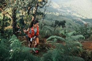 BIB: 
                            <button type="button" onclick="openModal(25340073)" class="btn btn-primary btn-sm float-right btn-popup" data-toggle="modal" data-target=".modal-high-quality">
                        <i class="fas fa-shopping-cart"></i> Add to Cart
                    </button>
                                            <button type="button" onclick="isThisMe(25340073, true)" class="btn btn-success btn-sm float-right btn-popup btn-isme hidden" data-toggle="tooltip" data-placement="bottom" title="นี่คือรูปของคุณใช่ไหม คลิกที่นี่เพื่อเอาเข้าอัลบั้ม">
                        <i class="fas fa-plus"></i> Add to album
                    </button>
                    <button type="button" onclick="isThisMe(25340073, false)" class="btn btn-warning btn-sm float-right btn-popup btn-isnotme hidden">
                        <i class="fas fa-ban"></i> Remove from album
                    </button>