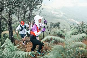 BIB: 
                            <button type="button" onclick="openModal(25339323)" class="btn btn-primary btn-sm float-right btn-popup" data-toggle="modal" data-target=".modal-high-quality">
                        <i class="fas fa-shopping-cart"></i> Add to Cart
                    </button>
                                            <button type="button" onclick="isThisMe(25339323, true)" class="btn btn-success btn-sm float-right btn-popup btn-isme hidden" data-toggle="tooltip" data-placement="bottom" title="นี่คือรูปของคุณใช่ไหม คลิกที่นี่เพื่อเอาเข้าอัลบั้ม">
                        <i class="fas fa-plus"></i> Add to album
                    </button>
                    <button type="button" onclick="isThisMe(25339323, false)" class="btn btn-warning btn-sm float-right btn-popup btn-isnotme hidden">
                        <i class="fas fa-ban"></i> Remove from album
                    </button>