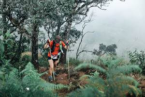 BIB: 
                            <button type="button" onclick="openModal(25329574)" class="btn btn-primary btn-sm float-right btn-popup" data-toggle="modal" data-target=".modal-high-quality">
                        <i class="fas fa-shopping-cart"></i> Add to Cart
                    </button>
                                            <button type="button" onclick="isThisMe(25329574, true)" class="btn btn-success btn-sm float-right btn-popup btn-isme hidden" data-toggle="tooltip" data-placement="bottom" title="นี่คือรูปของคุณใช่ไหม คลิกที่นี่เพื่อเอาเข้าอัลบั้ม">
                        <i class="fas fa-plus"></i> Add to album
                    </button>
                    <button type="button" onclick="isThisMe(25329574, false)" class="btn btn-warning btn-sm float-right btn-popup btn-isnotme hidden">
                        <i class="fas fa-ban"></i> Remove from album
                    </button>