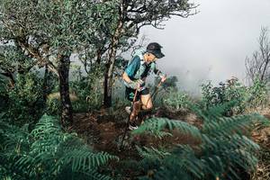 BIB: 
                            <button type="button" onclick="openModal(25329426)" class="btn btn-primary btn-sm float-right btn-popup" data-toggle="modal" data-target=".modal-high-quality">
                        <i class="fas fa-shopping-cart"></i> Add to Cart
                    </button>
                                            <button type="button" onclick="isThisMe(25329426, true)" class="btn btn-success btn-sm float-right btn-popup btn-isme hidden" data-toggle="tooltip" data-placement="bottom" title="นี่คือรูปของคุณใช่ไหม คลิกที่นี่เพื่อเอาเข้าอัลบั้ม">
                        <i class="fas fa-plus"></i> Add to album
                    </button>
                    <button type="button" onclick="isThisMe(25329426, false)" class="btn btn-warning btn-sm float-right btn-popup btn-isnotme hidden">
                        <i class="fas fa-ban"></i> Remove from album
                    </button>