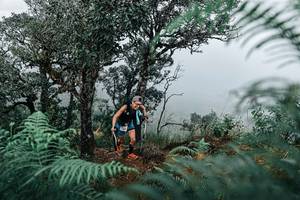 BIB: 
                            <button type="button" onclick="openModal(25329146)" class="btn btn-primary btn-sm float-right btn-popup" data-toggle="modal" data-target=".modal-high-quality">
                        <i class="fas fa-shopping-cart"></i> Add to Cart
                    </button>
                                            <button type="button" onclick="isThisMe(25329146, true)" class="btn btn-success btn-sm float-right btn-popup btn-isme hidden" data-toggle="tooltip" data-placement="bottom" title="นี่คือรูปของคุณใช่ไหม คลิกที่นี่เพื่อเอาเข้าอัลบั้ม">
                        <i class="fas fa-plus"></i> Add to album
                    </button>
                    <button type="button" onclick="isThisMe(25329146, false)" class="btn btn-warning btn-sm float-right btn-popup btn-isnotme hidden">
                        <i class="fas fa-ban"></i> Remove from album
                    </button>