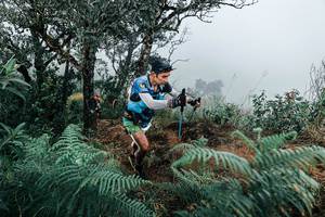 BIB: 
                            <button type="button" onclick="openModal(25330210)" class="btn btn-primary btn-sm float-right btn-popup" data-toggle="modal" data-target=".modal-high-quality">
                        <i class="fas fa-shopping-cart"></i> Add to Cart
                    </button>
                                            <button type="button" onclick="isThisMe(25330210, true)" class="btn btn-success btn-sm float-right btn-popup btn-isme hidden" data-toggle="tooltip" data-placement="bottom" title="นี่คือรูปของคุณใช่ไหม คลิกที่นี่เพื่อเอาเข้าอัลบั้ม">
                        <i class="fas fa-plus"></i> Add to album
                    </button>
                    <button type="button" onclick="isThisMe(25330210, false)" class="btn btn-warning btn-sm float-right btn-popup btn-isnotme hidden">
                        <i class="fas fa-ban"></i> Remove from album
                    </button>