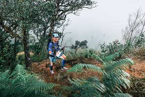 BIB: 
                            <button type="button" onclick="openModal(25330017)" class="btn btn-primary btn-sm float-right btn-popup" data-toggle="modal" data-target=".modal-high-quality">
                        <i class="fas fa-shopping-cart"></i> Add to Cart
                    </button>
                                            <button type="button" onclick="isThisMe(25330017, true)" class="btn btn-success btn-sm float-right btn-popup btn-isme hidden" data-toggle="tooltip" data-placement="bottom" title="นี่คือรูปของคุณใช่ไหม คลิกที่นี่เพื่อเอาเข้าอัลบั้ม">
                        <i class="fas fa-plus"></i> Add to album
                    </button>
                    <button type="button" onclick="isThisMe(25330017, false)" class="btn btn-warning btn-sm float-right btn-popup btn-isnotme hidden">
                        <i class="fas fa-ban"></i> Remove from album
                    </button>