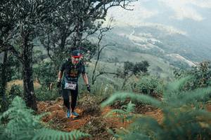 BIB: 
                            <button type="button" onclick="openModal(25339036)" class="btn btn-primary btn-sm float-right btn-popup" data-toggle="modal" data-target=".modal-high-quality">
                        <i class="fas fa-shopping-cart"></i> Add to Cart
                    </button>
                                            <button type="button" onclick="isThisMe(25339036, true)" class="btn btn-success btn-sm float-right btn-popup btn-isme hidden" data-toggle="tooltip" data-placement="bottom" title="นี่คือรูปของคุณใช่ไหม คลิกที่นี่เพื่อเอาเข้าอัลบั้ม">
                        <i class="fas fa-plus"></i> Add to album
                    </button>
                    <button type="button" onclick="isThisMe(25339036, false)" class="btn btn-warning btn-sm float-right btn-popup btn-isnotme hidden">
                        <i class="fas fa-ban"></i> Remove from album
                    </button>