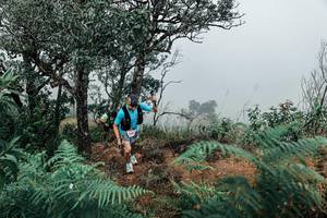 BIB: 
                            <button type="button" onclick="openModal(25329451)" class="btn btn-primary btn-sm float-right btn-popup" data-toggle="modal" data-target=".modal-high-quality">
                        <i class="fas fa-shopping-cart"></i> Add to Cart
                    </button>
                                            <button type="button" onclick="isThisMe(25329451, true)" class="btn btn-success btn-sm float-right btn-popup btn-isme hidden" data-toggle="tooltip" data-placement="bottom" title="นี่คือรูปของคุณใช่ไหม คลิกที่นี่เพื่อเอาเข้าอัลบั้ม">
                        <i class="fas fa-plus"></i> Add to album
                    </button>
                    <button type="button" onclick="isThisMe(25329451, false)" class="btn btn-warning btn-sm float-right btn-popup btn-isnotme hidden">
                        <i class="fas fa-ban"></i> Remove from album
                    </button>