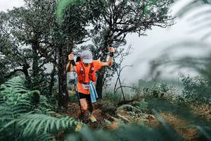 BIB: 
                            <button type="button" onclick="openModal(25329008)" class="btn btn-primary btn-sm float-right btn-popup" data-toggle="modal" data-target=".modal-high-quality">
                        <i class="fas fa-shopping-cart"></i> Add to Cart
                    </button>
                                            <button type="button" onclick="isThisMe(25329008, true)" class="btn btn-success btn-sm float-right btn-popup btn-isme hidden" data-toggle="tooltip" data-placement="bottom" title="นี่คือรูปของคุณใช่ไหม คลิกที่นี่เพื่อเอาเข้าอัลบั้ม">
                        <i class="fas fa-plus"></i> Add to album
                    </button>
                    <button type="button" onclick="isThisMe(25329008, false)" class="btn btn-warning btn-sm float-right btn-popup btn-isnotme hidden">
                        <i class="fas fa-ban"></i> Remove from album
                    </button>