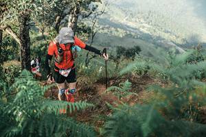 BIB: 
                            <button type="button" onclick="openModal(25339875)" class="btn btn-primary btn-sm float-right btn-popup" data-toggle="modal" data-target=".modal-high-quality">
                        <i class="fas fa-shopping-cart"></i> Add to Cart
                    </button>
                                            <button type="button" onclick="isThisMe(25339875, true)" class="btn btn-success btn-sm float-right btn-popup btn-isme hidden" data-toggle="tooltip" data-placement="bottom" title="นี่คือรูปของคุณใช่ไหม คลิกที่นี่เพื่อเอาเข้าอัลบั้ม">
                        <i class="fas fa-plus"></i> Add to album
                    </button>
                    <button type="button" onclick="isThisMe(25339875, false)" class="btn btn-warning btn-sm float-right btn-popup btn-isnotme hidden">
                        <i class="fas fa-ban"></i> Remove from album
                    </button>