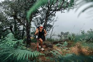 BIB: 
                            <button type="button" onclick="openModal(25328968)" class="btn btn-primary btn-sm float-right btn-popup" data-toggle="modal" data-target=".modal-high-quality">
                        <i class="fas fa-shopping-cart"></i> Add to Cart
                    </button>
                                            <button type="button" onclick="isThisMe(25328968, true)" class="btn btn-success btn-sm float-right btn-popup btn-isme hidden" data-toggle="tooltip" data-placement="bottom" title="นี่คือรูปของคุณใช่ไหม คลิกที่นี่เพื่อเอาเข้าอัลบั้ม">
                        <i class="fas fa-plus"></i> Add to album
                    </button>
                    <button type="button" onclick="isThisMe(25328968, false)" class="btn btn-warning btn-sm float-right btn-popup btn-isnotme hidden">
                        <i class="fas fa-ban"></i> Remove from album
                    </button>