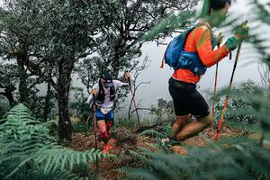 BIB: 
                            <button type="button" onclick="openModal(25329811)" class="btn btn-primary btn-sm float-right btn-popup" data-toggle="modal" data-target=".modal-high-quality">
                        <i class="fas fa-shopping-cart"></i> Add to Cart
                    </button>
                                            <button type="button" onclick="isThisMe(25329811, true)" class="btn btn-success btn-sm float-right btn-popup btn-isme hidden" data-toggle="tooltip" data-placement="bottom" title="นี่คือรูปของคุณใช่ไหม คลิกที่นี่เพื่อเอาเข้าอัลบั้ม">
                        <i class="fas fa-plus"></i> Add to album
                    </button>
                    <button type="button" onclick="isThisMe(25329811, false)" class="btn btn-warning btn-sm float-right btn-popup btn-isnotme hidden">
                        <i class="fas fa-ban"></i> Remove from album
                    </button>