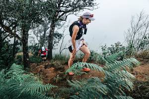 BIB: 
                            <button type="button" onclick="openModal(25330154)" class="btn btn-primary btn-sm float-right btn-popup" data-toggle="modal" data-target=".modal-high-quality">
                        <i class="fas fa-shopping-cart"></i> Add to Cart
                    </button>
                                            <button type="button" onclick="isThisMe(25330154, true)" class="btn btn-success btn-sm float-right btn-popup btn-isme hidden" data-toggle="tooltip" data-placement="bottom" title="นี่คือรูปของคุณใช่ไหม คลิกที่นี่เพื่อเอาเข้าอัลบั้ม">
                        <i class="fas fa-plus"></i> Add to album
                    </button>
                    <button type="button" onclick="isThisMe(25330154, false)" class="btn btn-warning btn-sm float-right btn-popup btn-isnotme hidden">
                        <i class="fas fa-ban"></i> Remove from album
                    </button>