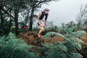 BIB: 
                            <button type="button" onclick="openModal(25330148)" class="btn btn-primary btn-sm float-right btn-popup" data-toggle="modal" data-target=".modal-high-quality">
                        <i class="fas fa-shopping-cart"></i> Add to Cart
                    </button>
                                            <button type="button" onclick="isThisMe(25330148, true)" class="btn btn-success btn-sm float-right btn-popup btn-isme hidden" data-toggle="tooltip" data-placement="bottom" title="นี่คือรูปของคุณใช่ไหม คลิกที่นี่เพื่อเอาเข้าอัลบั้ม">
                        <i class="fas fa-plus"></i> Add to album
                    </button>
                    <button type="button" onclick="isThisMe(25330148, false)" class="btn btn-warning btn-sm float-right btn-popup btn-isnotme hidden">
                        <i class="fas fa-ban"></i> Remove from album
                    </button>