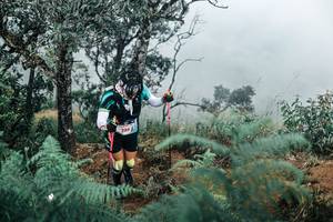 BIB: 
                            <button type="button" onclick="openModal(25329596)" class="btn btn-primary btn-sm float-right btn-popup" data-toggle="modal" data-target=".modal-high-quality">
                        <i class="fas fa-shopping-cart"></i> Add to Cart
                    </button>
                                            <button type="button" onclick="isThisMe(25329596, true)" class="btn btn-success btn-sm float-right btn-popup btn-isme hidden" data-toggle="tooltip" data-placement="bottom" title="นี่คือรูปของคุณใช่ไหม คลิกที่นี่เพื่อเอาเข้าอัลบั้ม">
                        <i class="fas fa-plus"></i> Add to album
                    </button>
                    <button type="button" onclick="isThisMe(25329596, false)" class="btn btn-warning btn-sm float-right btn-popup btn-isnotme hidden">
                        <i class="fas fa-ban"></i> Remove from album
                    </button>