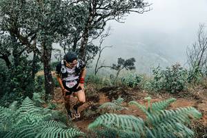 BIB: 
                            <button type="button" onclick="openModal(25329869)" class="btn btn-primary btn-sm float-right btn-popup" data-toggle="modal" data-target=".modal-high-quality">
                        <i class="fas fa-shopping-cart"></i> Add to Cart
                    </button>
                                            <button type="button" onclick="isThisMe(25329869, true)" class="btn btn-success btn-sm float-right btn-popup btn-isme hidden" data-toggle="tooltip" data-placement="bottom" title="นี่คือรูปของคุณใช่ไหม คลิกที่นี่เพื่อเอาเข้าอัลบั้ม">
                        <i class="fas fa-plus"></i> Add to album
                    </button>
                    <button type="button" onclick="isThisMe(25329869, false)" class="btn btn-warning btn-sm float-right btn-popup btn-isnotme hidden">
                        <i class="fas fa-ban"></i> Remove from album
                    </button>