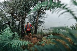 BIB: 
                            <button type="button" onclick="openModal(25335946)" class="btn btn-primary btn-sm float-right btn-popup" data-toggle="modal" data-target=".modal-high-quality">
                        <i class="fas fa-shopping-cart"></i> Add to Cart
                    </button>
                                            <button type="button" onclick="isThisMe(25335946, true)" class="btn btn-success btn-sm float-right btn-popup btn-isme hidden" data-toggle="tooltip" data-placement="bottom" title="นี่คือรูปของคุณใช่ไหม คลิกที่นี่เพื่อเอาเข้าอัลบั้ม">
                        <i class="fas fa-plus"></i> Add to album
                    </button>
                    <button type="button" onclick="isThisMe(25335946, false)" class="btn btn-warning btn-sm float-right btn-popup btn-isnotme hidden">
                        <i class="fas fa-ban"></i> Remove from album
                    </button>