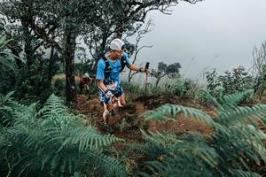 BIB: 
                            <button type="button" onclick="openModal(25330100)" class="btn btn-primary btn-sm float-right btn-popup" data-toggle="modal" data-target=".modal-high-quality">
                        <i class="fas fa-shopping-cart"></i> Add to Cart
                    </button>
                                            <button type="button" onclick="isThisMe(25330100, true)" class="btn btn-success btn-sm float-right btn-popup btn-isme hidden" data-toggle="tooltip" data-placement="bottom" title="นี่คือรูปของคุณใช่ไหม คลิกที่นี่เพื่อเอาเข้าอัลบั้ม">
                        <i class="fas fa-plus"></i> Add to album
                    </button>
                    <button type="button" onclick="isThisMe(25330100, false)" class="btn btn-warning btn-sm float-right btn-popup btn-isnotme hidden">
                        <i class="fas fa-ban"></i> Remove from album
                    </button>