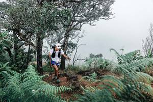 BIB: 
                            <button type="button" onclick="openModal(25329549)" class="btn btn-primary btn-sm float-right btn-popup" data-toggle="modal" data-target=".modal-high-quality">
                        <i class="fas fa-shopping-cart"></i> Add to Cart
                    </button>
                                            <button type="button" onclick="isThisMe(25329549, true)" class="btn btn-success btn-sm float-right btn-popup btn-isme hidden" data-toggle="tooltip" data-placement="bottom" title="นี่คือรูปของคุณใช่ไหม คลิกที่นี่เพื่อเอาเข้าอัลบั้ม">
                        <i class="fas fa-plus"></i> Add to album
                    </button>
                    <button type="button" onclick="isThisMe(25329549, false)" class="btn btn-warning btn-sm float-right btn-popup btn-isnotme hidden">
                        <i class="fas fa-ban"></i> Remove from album
                    </button>