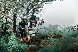 BIB: 
                            <button type="button" onclick="openModal(25338139)" class="btn btn-primary btn-sm float-right btn-popup" data-toggle="modal" data-target=".modal-high-quality">
                        <i class="fas fa-shopping-cart"></i> Add to Cart
                    </button>
                                            <button type="button" onclick="isThisMe(25338139, true)" class="btn btn-success btn-sm float-right btn-popup btn-isme hidden" data-toggle="tooltip" data-placement="bottom" title="นี่คือรูปของคุณใช่ไหม คลิกที่นี่เพื่อเอาเข้าอัลบั้ม">
                        <i class="fas fa-plus"></i> Add to album
                    </button>
                    <button type="button" onclick="isThisMe(25338139, false)" class="btn btn-warning btn-sm float-right btn-popup btn-isnotme hidden">
                        <i class="fas fa-ban"></i> Remove from album
                    </button>