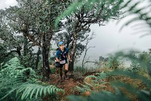 BIB: 
                            <button type="button" onclick="openModal(25329177)" class="btn btn-primary btn-sm float-right btn-popup" data-toggle="modal" data-target=".modal-high-quality">
                        <i class="fas fa-shopping-cart"></i> Add to Cart
                    </button>
                                            <button type="button" onclick="isThisMe(25329177, true)" class="btn btn-success btn-sm float-right btn-popup btn-isme hidden" data-toggle="tooltip" data-placement="bottom" title="นี่คือรูปของคุณใช่ไหม คลิกที่นี่เพื่อเอาเข้าอัลบั้ม">
                        <i class="fas fa-plus"></i> Add to album
                    </button>
                    <button type="button" onclick="isThisMe(25329177, false)" class="btn btn-warning btn-sm float-right btn-popup btn-isnotme hidden">
                        <i class="fas fa-ban"></i> Remove from album
                    </button>