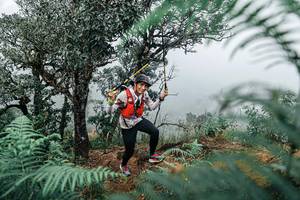 BIB: 
                            <button type="button" onclick="openModal(25329778)" class="btn btn-primary btn-sm float-right btn-popup" data-toggle="modal" data-target=".modal-high-quality">
                        <i class="fas fa-shopping-cart"></i> Add to Cart
                    </button>
                                            <button type="button" onclick="isThisMe(25329778, true)" class="btn btn-success btn-sm float-right btn-popup btn-isme hidden" data-toggle="tooltip" data-placement="bottom" title="นี่คือรูปของคุณใช่ไหม คลิกที่นี่เพื่อเอาเข้าอัลบั้ม">
                        <i class="fas fa-plus"></i> Add to album
                    </button>
                    <button type="button" onclick="isThisMe(25329778, false)" class="btn btn-warning btn-sm float-right btn-popup btn-isnotme hidden">
                        <i class="fas fa-ban"></i> Remove from album
                    </button>