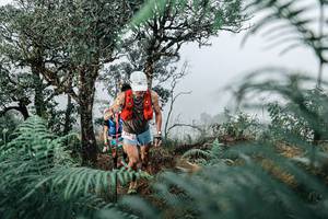 BIB: 
                            <button type="button" onclick="openModal(25328864)" class="btn btn-primary btn-sm float-right btn-popup" data-toggle="modal" data-target=".modal-high-quality">
                        <i class="fas fa-shopping-cart"></i> Add to Cart
                    </button>
                                            <button type="button" onclick="isThisMe(25328864, true)" class="btn btn-success btn-sm float-right btn-popup btn-isme hidden" data-toggle="tooltip" data-placement="bottom" title="นี่คือรูปของคุณใช่ไหม คลิกที่นี่เพื่อเอาเข้าอัลบั้ม">
                        <i class="fas fa-plus"></i> Add to album
                    </button>
                    <button type="button" onclick="isThisMe(25328864, false)" class="btn btn-warning btn-sm float-right btn-popup btn-isnotme hidden">
                        <i class="fas fa-ban"></i> Remove from album
                    </button>