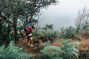 BIB: 
                            <button type="button" onclick="openModal(25329894)" class="btn btn-primary btn-sm float-right btn-popup" data-toggle="modal" data-target=".modal-high-quality">
                        <i class="fas fa-shopping-cart"></i> Add to Cart
                    </button>
                                            <button type="button" onclick="isThisMe(25329894, true)" class="btn btn-success btn-sm float-right btn-popup btn-isme hidden" data-toggle="tooltip" data-placement="bottom" title="นี่คือรูปของคุณใช่ไหม คลิกที่นี่เพื่อเอาเข้าอัลบั้ม">
                        <i class="fas fa-plus"></i> Add to album
                    </button>
                    <button type="button" onclick="isThisMe(25329894, false)" class="btn btn-warning btn-sm float-right btn-popup btn-isnotme hidden">
                        <i class="fas fa-ban"></i> Remove from album
                    </button>