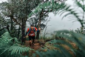 BIB: 
                            <button type="button" onclick="openModal(25335964)" class="btn btn-primary btn-sm float-right btn-popup" data-toggle="modal" data-target=".modal-high-quality">
                        <i class="fas fa-shopping-cart"></i> Add to Cart
                    </button>
                                            <button type="button" onclick="isThisMe(25335964, true)" class="btn btn-success btn-sm float-right btn-popup btn-isme hidden" data-toggle="tooltip" data-placement="bottom" title="นี่คือรูปของคุณใช่ไหม คลิกที่นี่เพื่อเอาเข้าอัลบั้ม">
                        <i class="fas fa-plus"></i> Add to album
                    </button>
                    <button type="button" onclick="isThisMe(25335964, false)" class="btn btn-warning btn-sm float-right btn-popup btn-isnotme hidden">
                        <i class="fas fa-ban"></i> Remove from album
                    </button>