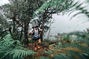 BIB: 
                            <button type="button" onclick="openModal(25329191)" class="btn btn-primary btn-sm float-right btn-popup" data-toggle="modal" data-target=".modal-high-quality">
                        <i class="fas fa-shopping-cart"></i> Add to Cart
                    </button>
                                            <button type="button" onclick="isThisMe(25329191, true)" class="btn btn-success btn-sm float-right btn-popup btn-isme hidden" data-toggle="tooltip" data-placement="bottom" title="นี่คือรูปของคุณใช่ไหม คลิกที่นี่เพื่อเอาเข้าอัลบั้ม">
                        <i class="fas fa-plus"></i> Add to album
                    </button>
                    <button type="button" onclick="isThisMe(25329191, false)" class="btn btn-warning btn-sm float-right btn-popup btn-isnotme hidden">
                        <i class="fas fa-ban"></i> Remove from album
                    </button>