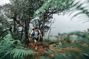 BIB: 
                            <button type="button" onclick="openModal(25329192)" class="btn btn-primary btn-sm float-right btn-popup" data-toggle="modal" data-target=".modal-high-quality">
                        <i class="fas fa-shopping-cart"></i> Add to Cart
                    </button>
                                            <button type="button" onclick="isThisMe(25329192, true)" class="btn btn-success btn-sm float-right btn-popup btn-isme hidden" data-toggle="tooltip" data-placement="bottom" title="นี่คือรูปของคุณใช่ไหม คลิกที่นี่เพื่อเอาเข้าอัลบั้ม">
                        <i class="fas fa-plus"></i> Add to album
                    </button>
                    <button type="button" onclick="isThisMe(25329192, false)" class="btn btn-warning btn-sm float-right btn-popup btn-isnotme hidden">
                        <i class="fas fa-ban"></i> Remove from album
                    </button>