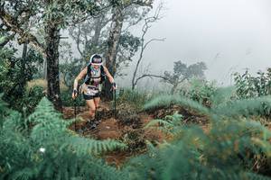 BIB: 
                            <button type="button" onclick="openModal(25337849)" class="btn btn-primary btn-sm float-right btn-popup" data-toggle="modal" data-target=".modal-high-quality">
                        <i class="fas fa-shopping-cart"></i> Add to Cart
                    </button>
                                            <button type="button" onclick="isThisMe(25337849, true)" class="btn btn-success btn-sm float-right btn-popup btn-isme hidden" data-toggle="tooltip" data-placement="bottom" title="นี่คือรูปของคุณใช่ไหม คลิกที่นี่เพื่อเอาเข้าอัลบั้ม">
                        <i class="fas fa-plus"></i> Add to album
                    </button>
                    <button type="button" onclick="isThisMe(25337849, false)" class="btn btn-warning btn-sm float-right btn-popup btn-isnotme hidden">
                        <i class="fas fa-ban"></i> Remove from album
                    </button>