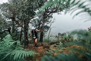 BIB: 
                            <button type="button" onclick="openModal(25329094)" class="btn btn-primary btn-sm float-right btn-popup" data-toggle="modal" data-target=".modal-high-quality">
                        <i class="fas fa-shopping-cart"></i> Add to Cart
                    </button>
                                            <button type="button" onclick="isThisMe(25329094, true)" class="btn btn-success btn-sm float-right btn-popup btn-isme hidden" data-toggle="tooltip" data-placement="bottom" title="นี่คือรูปของคุณใช่ไหม คลิกที่นี่เพื่อเอาเข้าอัลบั้ม">
                        <i class="fas fa-plus"></i> Add to album
                    </button>
                    <button type="button" onclick="isThisMe(25329094, false)" class="btn btn-warning btn-sm float-right btn-popup btn-isnotme hidden">
                        <i class="fas fa-ban"></i> Remove from album
                    </button>