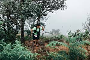 BIB: 
                            <button type="button" onclick="openModal(25329455)" class="btn btn-primary btn-sm float-right btn-popup" data-toggle="modal" data-target=".modal-high-quality">
                        <i class="fas fa-shopping-cart"></i> Add to Cart
                    </button>
                                            <button type="button" onclick="isThisMe(25329455, true)" class="btn btn-success btn-sm float-right btn-popup btn-isme hidden" data-toggle="tooltip" data-placement="bottom" title="นี่คือรูปของคุณใช่ไหม คลิกที่นี่เพื่อเอาเข้าอัลบั้ม">
                        <i class="fas fa-plus"></i> Add to album
                    </button>
                    <button type="button" onclick="isThisMe(25329455, false)" class="btn btn-warning btn-sm float-right btn-popup btn-isnotme hidden">
                        <i class="fas fa-ban"></i> Remove from album
                    </button>