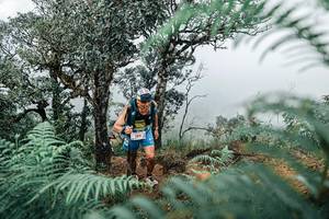 BIB: 
                            <button type="button" onclick="openModal(25329029)" class="btn btn-primary btn-sm float-right btn-popup" data-toggle="modal" data-target=".modal-high-quality">
                        <i class="fas fa-shopping-cart"></i> Add to Cart
                    </button>
                                            <button type="button" onclick="isThisMe(25329029, true)" class="btn btn-success btn-sm float-right btn-popup btn-isme hidden" data-toggle="tooltip" data-placement="bottom" title="นี่คือรูปของคุณใช่ไหม คลิกที่นี่เพื่อเอาเข้าอัลบั้ม">
                        <i class="fas fa-plus"></i> Add to album
                    </button>
                    <button type="button" onclick="isThisMe(25329029, false)" class="btn btn-warning btn-sm float-right btn-popup btn-isnotme hidden">
                        <i class="fas fa-ban"></i> Remove from album
                    </button>