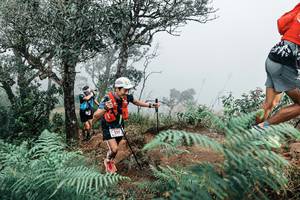 BIB: 
                            <button type="button" onclick="openModal(25329492)" class="btn btn-primary btn-sm float-right btn-popup" data-toggle="modal" data-target=".modal-high-quality">
                        <i class="fas fa-shopping-cart"></i> Add to Cart
                    </button>
                                            <button type="button" onclick="isThisMe(25329492, true)" class="btn btn-success btn-sm float-right btn-popup btn-isme hidden" data-toggle="tooltip" data-placement="bottom" title="นี่คือรูปของคุณใช่ไหม คลิกที่นี่เพื่อเอาเข้าอัลบั้ม">
                        <i class="fas fa-plus"></i> Add to album
                    </button>
                    <button type="button" onclick="isThisMe(25329492, false)" class="btn btn-warning btn-sm float-right btn-popup btn-isnotme hidden">
                        <i class="fas fa-ban"></i> Remove from album
                    </button>