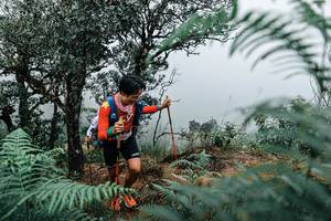 BIB: 
                            <button type="button" onclick="openModal(25329809)" class="btn btn-primary btn-sm float-right btn-popup" data-toggle="modal" data-target=".modal-high-quality">
                        <i class="fas fa-shopping-cart"></i> Add to Cart
                    </button>
                                            <button type="button" onclick="isThisMe(25329809, true)" class="btn btn-success btn-sm float-right btn-popup btn-isme hidden" data-toggle="tooltip" data-placement="bottom" title="นี่คือรูปของคุณใช่ไหม คลิกที่นี่เพื่อเอาเข้าอัลบั้ม">
                        <i class="fas fa-plus"></i> Add to album
                    </button>
                    <button type="button" onclick="isThisMe(25329809, false)" class="btn btn-warning btn-sm float-right btn-popup btn-isnotme hidden">
                        <i class="fas fa-ban"></i> Remove from album
                    </button>