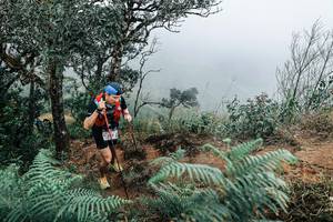 BIB: 
                            <button type="button" onclick="openModal(25329898)" class="btn btn-primary btn-sm float-right btn-popup" data-toggle="modal" data-target=".modal-high-quality">
                        <i class="fas fa-shopping-cart"></i> Add to Cart
                    </button>
                                            <button type="button" onclick="isThisMe(25329898, true)" class="btn btn-success btn-sm float-right btn-popup btn-isme hidden" data-toggle="tooltip" data-placement="bottom" title="นี่คือรูปของคุณใช่ไหม คลิกที่นี่เพื่อเอาเข้าอัลบั้ม">
                        <i class="fas fa-plus"></i> Add to album
                    </button>
                    <button type="button" onclick="isThisMe(25329898, false)" class="btn btn-warning btn-sm float-right btn-popup btn-isnotme hidden">
                        <i class="fas fa-ban"></i> Remove from album
                    </button>