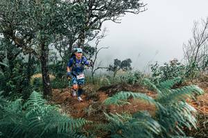 BIB: 
                            <button type="button" onclick="openModal(25330003)" class="btn btn-primary btn-sm float-right btn-popup" data-toggle="modal" data-target=".modal-high-quality">
                        <i class="fas fa-shopping-cart"></i> Add to Cart
                    </button>
                                            <button type="button" onclick="isThisMe(25330003, true)" class="btn btn-success btn-sm float-right btn-popup btn-isme hidden" data-toggle="tooltip" data-placement="bottom" title="นี่คือรูปของคุณใช่ไหม คลิกที่นี่เพื่อเอาเข้าอัลบั้ม">
                        <i class="fas fa-plus"></i> Add to album
                    </button>
                    <button type="button" onclick="isThisMe(25330003, false)" class="btn btn-warning btn-sm float-right btn-popup btn-isnotme hidden">
                        <i class="fas fa-ban"></i> Remove from album
                    </button>