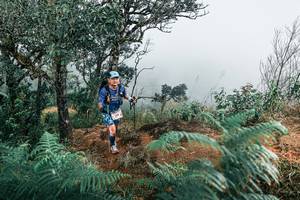 BIB: 
                            <button type="button" onclick="openModal(25330009)" class="btn btn-primary btn-sm float-right btn-popup" data-toggle="modal" data-target=".modal-high-quality">
                        <i class="fas fa-shopping-cart"></i> Add to Cart
                    </button>
                                            <button type="button" onclick="isThisMe(25330009, true)" class="btn btn-success btn-sm float-right btn-popup btn-isme hidden" data-toggle="tooltip" data-placement="bottom" title="นี่คือรูปของคุณใช่ไหม คลิกที่นี่เพื่อเอาเข้าอัลบั้ม">
                        <i class="fas fa-plus"></i> Add to album
                    </button>
                    <button type="button" onclick="isThisMe(25330009, false)" class="btn btn-warning btn-sm float-right btn-popup btn-isnotme hidden">
                        <i class="fas fa-ban"></i> Remove from album
                    </button>