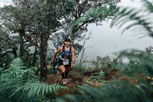 BIB: 
                            <button type="button" onclick="openModal(25336033)" class="btn btn-primary btn-sm float-right btn-popup" data-toggle="modal" data-target=".modal-high-quality">
                        <i class="fas fa-shopping-cart"></i> Add to Cart
                    </button>
                                            <button type="button" onclick="isThisMe(25336033, true)" class="btn btn-success btn-sm float-right btn-popup btn-isme hidden" data-toggle="tooltip" data-placement="bottom" title="นี่คือรูปของคุณใช่ไหม คลิกที่นี่เพื่อเอาเข้าอัลบั้ม">
                        <i class="fas fa-plus"></i> Add to album
                    </button>
                    <button type="button" onclick="isThisMe(25336033, false)" class="btn btn-warning btn-sm float-right btn-popup btn-isnotme hidden">
                        <i class="fas fa-ban"></i> Remove from album
                    </button>