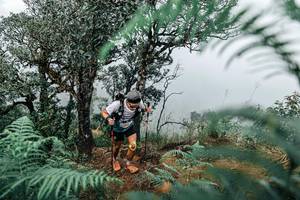 BIB: 
                            <button type="button" onclick="openModal(25329194)" class="btn btn-primary btn-sm float-right btn-popup" data-toggle="modal" data-target=".modal-high-quality">
                        <i class="fas fa-shopping-cart"></i> Add to Cart
                    </button>
                                            <button type="button" onclick="isThisMe(25329194, true)" class="btn btn-success btn-sm float-right btn-popup btn-isme hidden" data-toggle="tooltip" data-placement="bottom" title="นี่คือรูปของคุณใช่ไหม คลิกที่นี่เพื่อเอาเข้าอัลบั้ม">
                        <i class="fas fa-plus"></i> Add to album
                    </button>
                    <button type="button" onclick="isThisMe(25329194, false)" class="btn btn-warning btn-sm float-right btn-popup btn-isnotme hidden">
                        <i class="fas fa-ban"></i> Remove from album
                    </button>