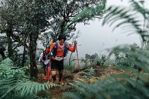 BIB: 
                            <button type="button" onclick="openModal(25329804)" class="btn btn-primary btn-sm float-right btn-popup" data-toggle="modal" data-target=".modal-high-quality">
                        <i class="fas fa-shopping-cart"></i> Add to Cart
                    </button>
                                            <button type="button" onclick="isThisMe(25329804, true)" class="btn btn-success btn-sm float-right btn-popup btn-isme hidden" data-toggle="tooltip" data-placement="bottom" title="นี่คือรูปของคุณใช่ไหม คลิกที่นี่เพื่อเอาเข้าอัลบั้ม">
                        <i class="fas fa-plus"></i> Add to album
                    </button>
                    <button type="button" onclick="isThisMe(25329804, false)" class="btn btn-warning btn-sm float-right btn-popup btn-isnotme hidden">
                        <i class="fas fa-ban"></i> Remove from album
                    </button>