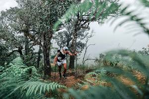 BIB: 
                            <button type="button" onclick="openModal(25329033)" class="btn btn-primary btn-sm float-right btn-popup" data-toggle="modal" data-target=".modal-high-quality">
                        <i class="fas fa-shopping-cart"></i> Add to Cart
                    </button>
                                            <button type="button" onclick="isThisMe(25329033, true)" class="btn btn-success btn-sm float-right btn-popup btn-isme hidden" data-toggle="tooltip" data-placement="bottom" title="นี่คือรูปของคุณใช่ไหม คลิกที่นี่เพื่อเอาเข้าอัลบั้ม">
                        <i class="fas fa-plus"></i> Add to album
                    </button>
                    <button type="button" onclick="isThisMe(25329033, false)" class="btn btn-warning btn-sm float-right btn-popup btn-isnotme hidden">
                        <i class="fas fa-ban"></i> Remove from album
                    </button>