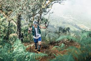 BIB: 
                            <button type="button" onclick="openModal(25338464)" class="btn btn-primary btn-sm float-right btn-popup" data-toggle="modal" data-target=".modal-high-quality">
                        <i class="fas fa-shopping-cart"></i> Add to Cart
                    </button>
                                            <button type="button" onclick="isThisMe(25338464, true)" class="btn btn-success btn-sm float-right btn-popup btn-isme hidden" data-toggle="tooltip" data-placement="bottom" title="นี่คือรูปของคุณใช่ไหม คลิกที่นี่เพื่อเอาเข้าอัลบั้ม">
                        <i class="fas fa-plus"></i> Add to album
                    </button>
                    <button type="button" onclick="isThisMe(25338464, false)" class="btn btn-warning btn-sm float-right btn-popup btn-isnotme hidden">
                        <i class="fas fa-ban"></i> Remove from album
                    </button>