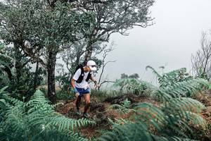 BIB: 
                            <button type="button" onclick="openModal(25329552)" class="btn btn-primary btn-sm float-right btn-popup" data-toggle="modal" data-target=".modal-high-quality">
                        <i class="fas fa-shopping-cart"></i> Add to Cart
                    </button>
                                            <button type="button" onclick="isThisMe(25329552, true)" class="btn btn-success btn-sm float-right btn-popup btn-isme hidden" data-toggle="tooltip" data-placement="bottom" title="นี่คือรูปของคุณใช่ไหม คลิกที่นี่เพื่อเอาเข้าอัลบั้ม">
                        <i class="fas fa-plus"></i> Add to album
                    </button>
                    <button type="button" onclick="isThisMe(25329552, false)" class="btn btn-warning btn-sm float-right btn-popup btn-isnotme hidden">
                        <i class="fas fa-ban"></i> Remove from album
                    </button>