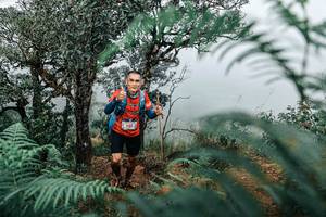 BIB: 
                            <button type="button" onclick="openModal(25335970)" class="btn btn-primary btn-sm float-right btn-popup" data-toggle="modal" data-target=".modal-high-quality">
                        <i class="fas fa-shopping-cart"></i> Add to Cart
                    </button>
                                            <button type="button" onclick="isThisMe(25335970, true)" class="btn btn-success btn-sm float-right btn-popup btn-isme hidden" data-toggle="tooltip" data-placement="bottom" title="นี่คือรูปของคุณใช่ไหม คลิกที่นี่เพื่อเอาเข้าอัลบั้ม">
                        <i class="fas fa-plus"></i> Add to album
                    </button>
                    <button type="button" onclick="isThisMe(25335970, false)" class="btn btn-warning btn-sm float-right btn-popup btn-isnotme hidden">
                        <i class="fas fa-ban"></i> Remove from album
                    </button>