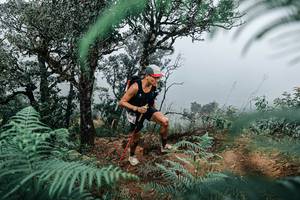 BIB: 
                            <button type="button" onclick="openModal(25328977)" class="btn btn-primary btn-sm float-right btn-popup" data-toggle="modal" data-target=".modal-high-quality">
                        <i class="fas fa-shopping-cart"></i> Add to Cart
                    </button>
                                            <button type="button" onclick="isThisMe(25328977, true)" class="btn btn-success btn-sm float-right btn-popup btn-isme hidden" data-toggle="tooltip" data-placement="bottom" title="นี่คือรูปของคุณใช่ไหม คลิกที่นี่เพื่อเอาเข้าอัลบั้ม">
                        <i class="fas fa-plus"></i> Add to album
                    </button>
                    <button type="button" onclick="isThisMe(25328977, false)" class="btn btn-warning btn-sm float-right btn-popup btn-isnotme hidden">
                        <i class="fas fa-ban"></i> Remove from album
                    </button>