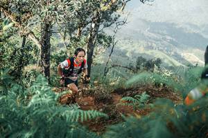 BIB: 
                            <button type="button" onclick="openModal(25338684)" class="btn btn-primary btn-sm float-right btn-popup" data-toggle="modal" data-target=".modal-high-quality">
                        <i class="fas fa-shopping-cart"></i> Add to Cart
                    </button>
                                            <button type="button" onclick="isThisMe(25338684, true)" class="btn btn-success btn-sm float-right btn-popup btn-isme hidden" data-toggle="tooltip" data-placement="bottom" title="นี่คือรูปของคุณใช่ไหม คลิกที่นี่เพื่อเอาเข้าอัลบั้ม">
                        <i class="fas fa-plus"></i> Add to album
                    </button>
                    <button type="button" onclick="isThisMe(25338684, false)" class="btn btn-warning btn-sm float-right btn-popup btn-isnotme hidden">
                        <i class="fas fa-ban"></i> Remove from album
                    </button>